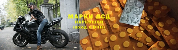 ГАЛЛЮЦИНОГЕННЫЕ ГРИБЫ Покровск