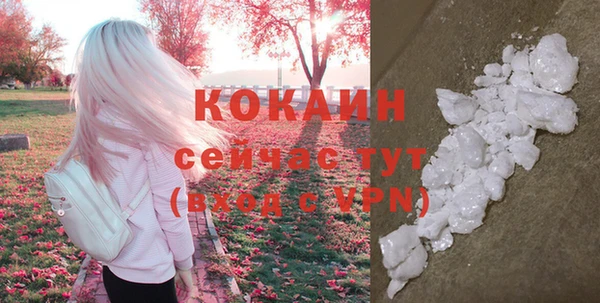 ГАЛЛЮЦИНОГЕННЫЕ ГРИБЫ Покровск