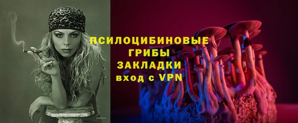 ГАЛЛЮЦИНОГЕННЫЕ ГРИБЫ Покровск