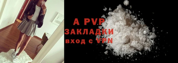 ГАЛЛЮЦИНОГЕННЫЕ ГРИБЫ Покровск