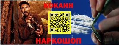 стафф Гай