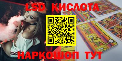 стафф Гай