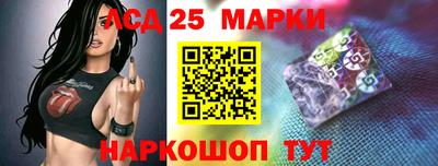 стафф Гай