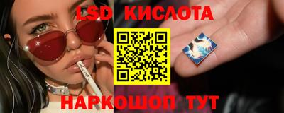 ешки Гатчина