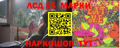 стафф Гай