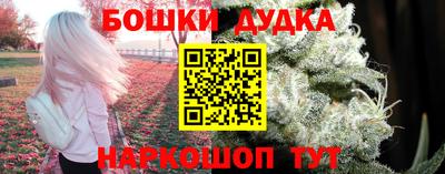 стафф Гай