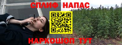 ешки Гатчина