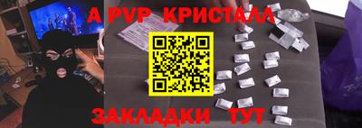 стафф Гай