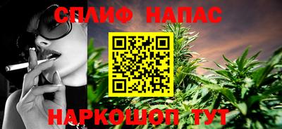 стафф Гай