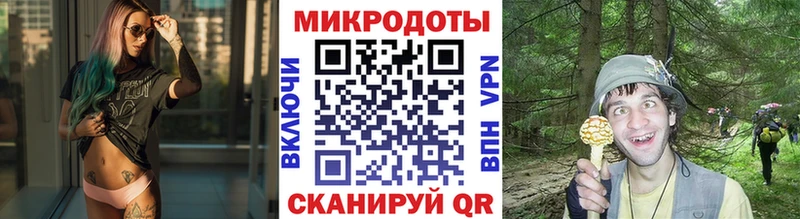 Галлюциногенные грибы мухоморы  Кохма 
