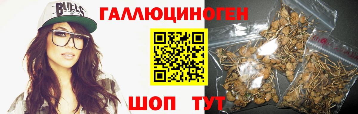 Кохма  Псилоцибиновые грибы Magic Shrooms  Вход с VPN 