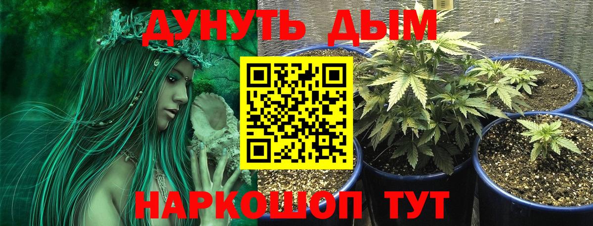 Кохма  Бошки марихуана MAZAR  Вход с VPN  МАРИХУАНА OG Kush 